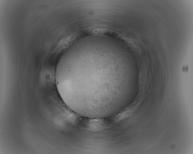 X0000093260240200709261738