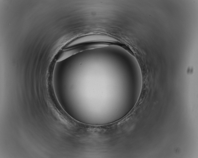 X0000093260242200709261737