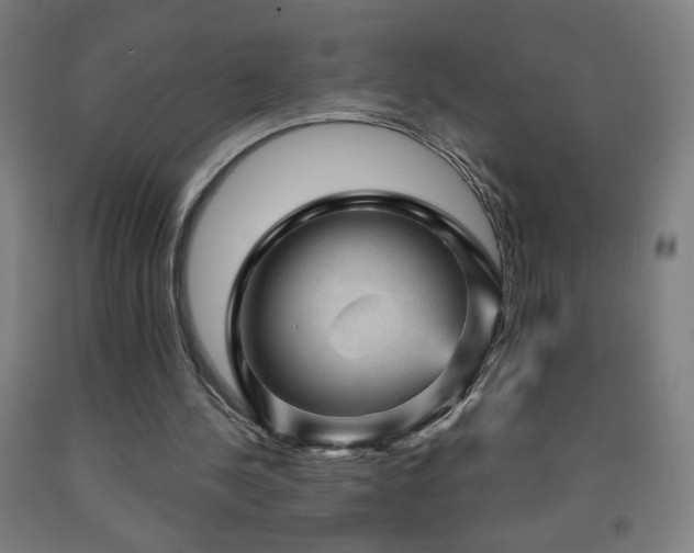 X0000093260244200709261737