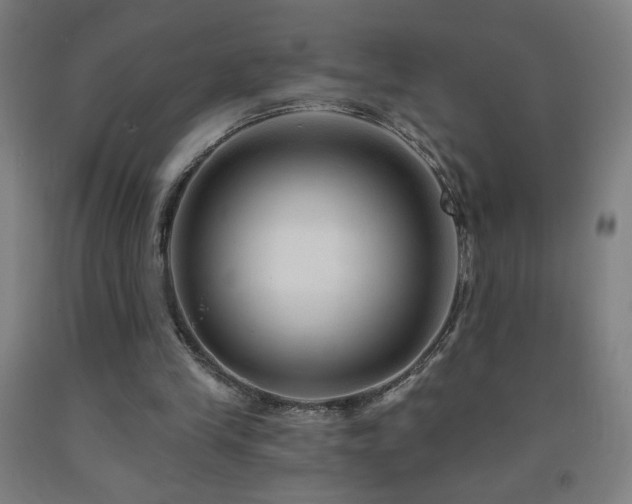 X0000093260245200709261737