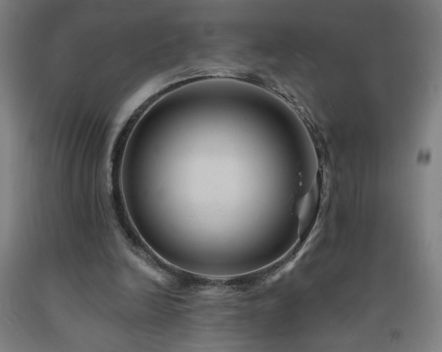 X0000093260246200709261737