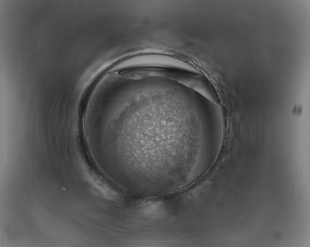 X0000093260247200709261737