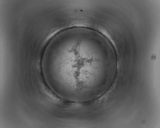 X0000093260249200709261737