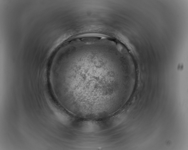 X0000093260250200709261737
