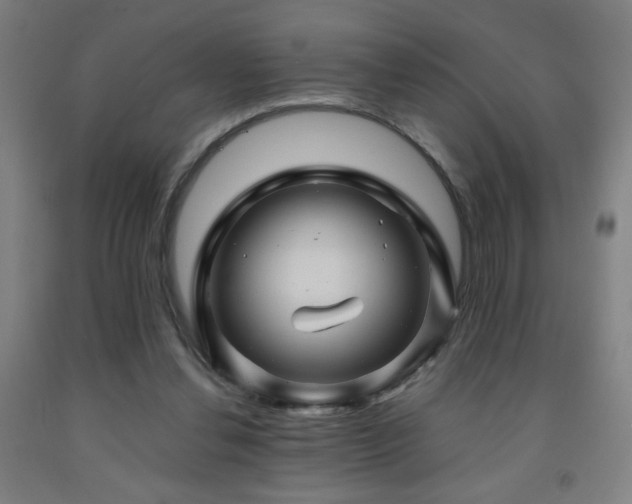 X0000093260252200709261737