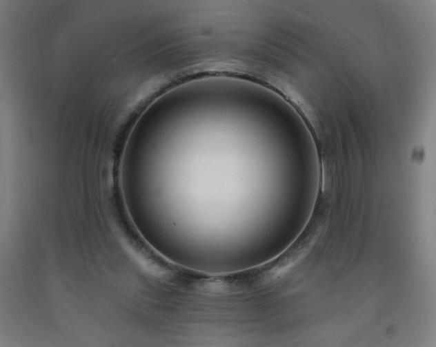 X0000093260253200709261737