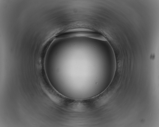 X0000093260254200709261737