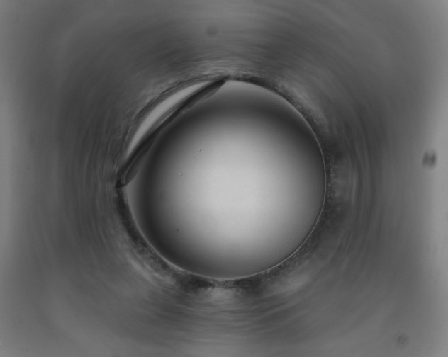 X0000093260255200709261737