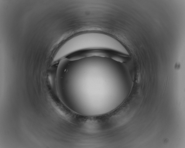X0000093260256200709261737