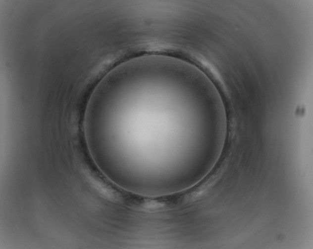 X0000093260257200709261737