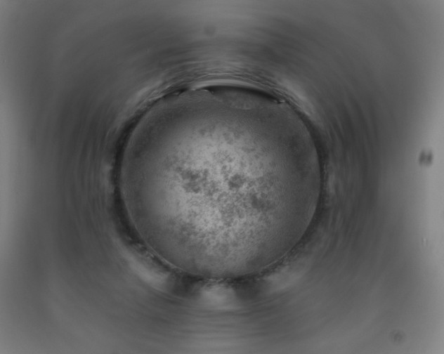 X0000093260258200709261737