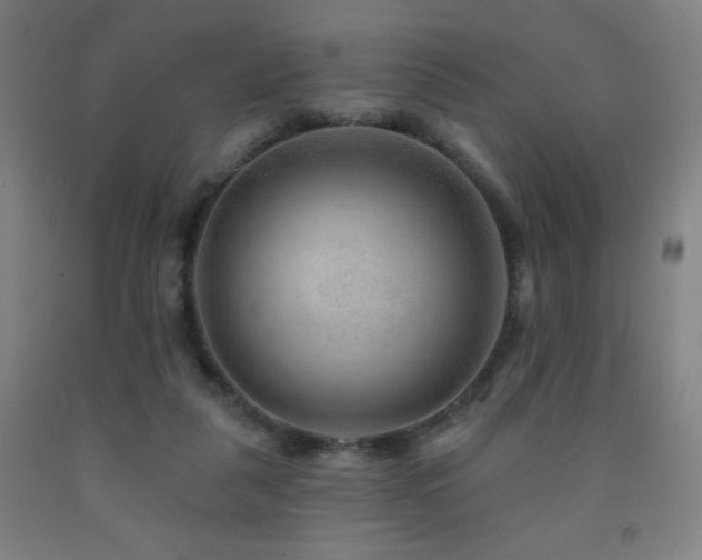 X0000093260259200709261737