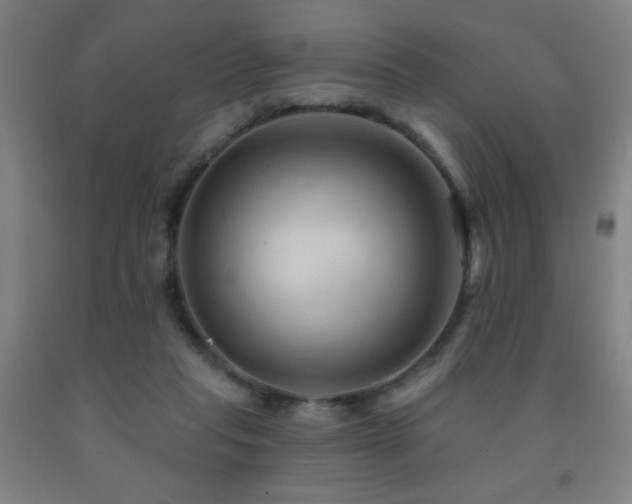 X0000093260261200709261737