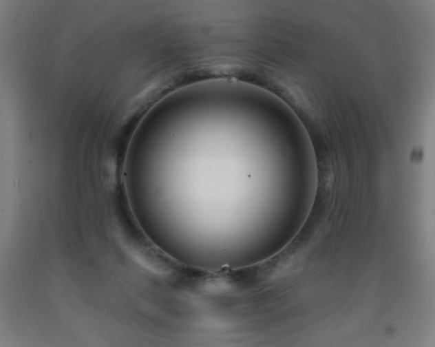 X0000093260262200709261737