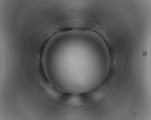X0000093260263200709261737