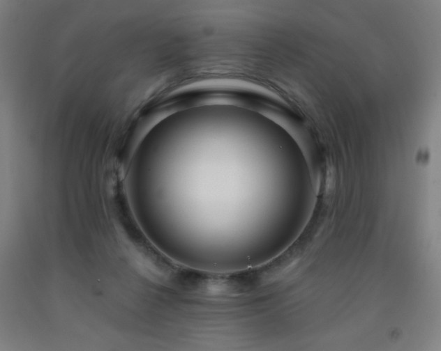 X0000093260264200709261737