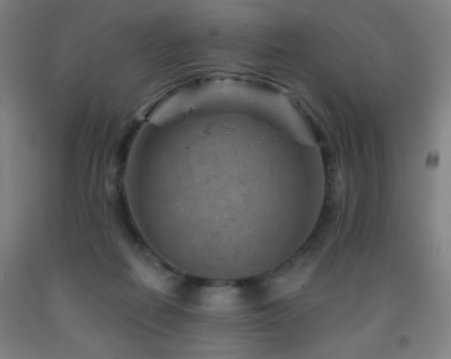 X0000093260266200709261737