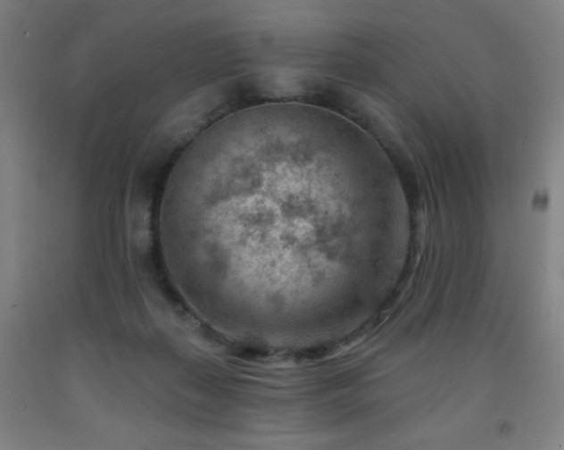 X0000093260267200709261737