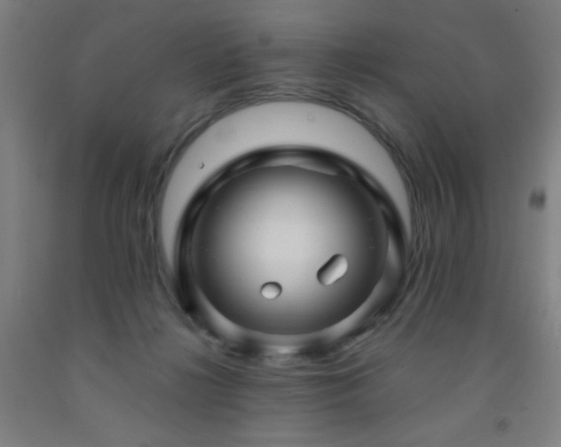 X0000093260268200709261737