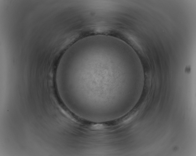 X0000093260269200709261737