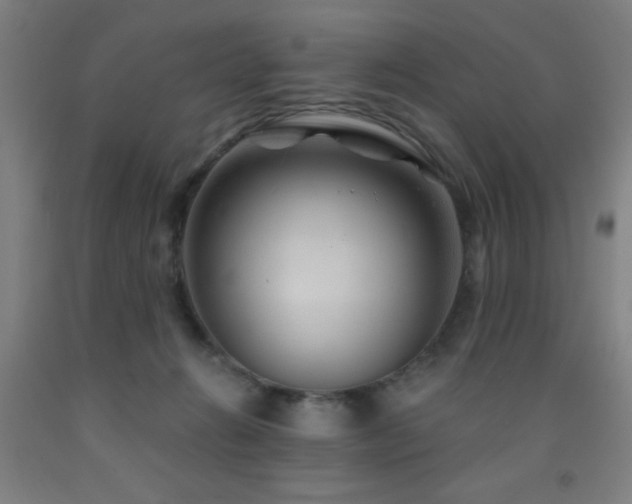 X0000093260270200709261737