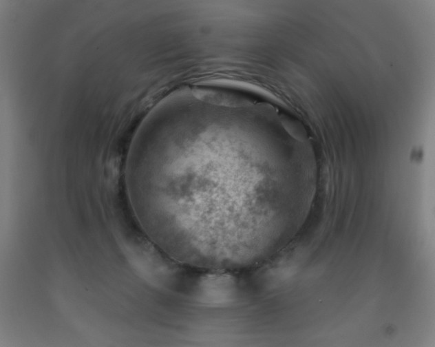 X0000093260271200709261737