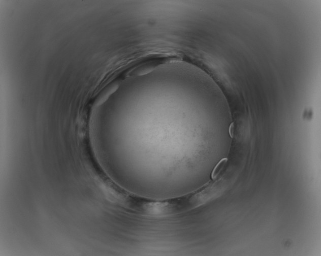 X0000093260273200709261738