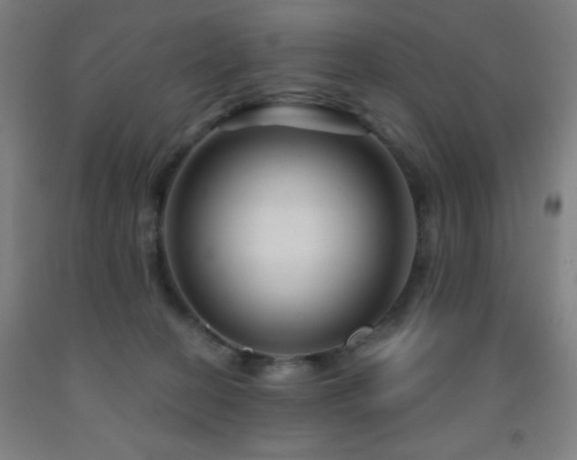 X0000093260274200709261738