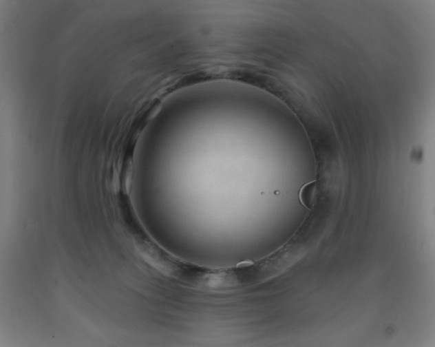 X0000093260275200709261738