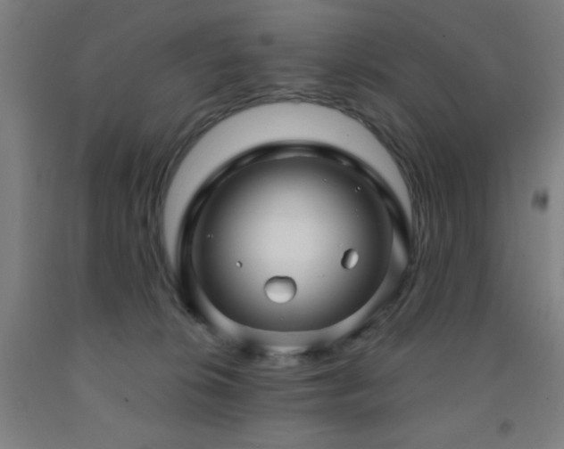 X0000093260276200709261738