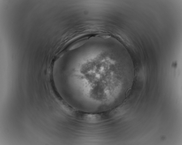 X0000093260277200709261738