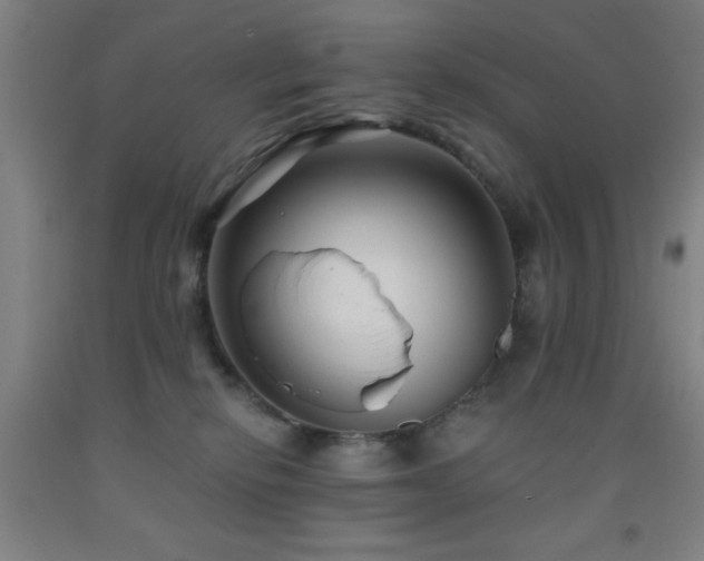 X0000093260278200709261738