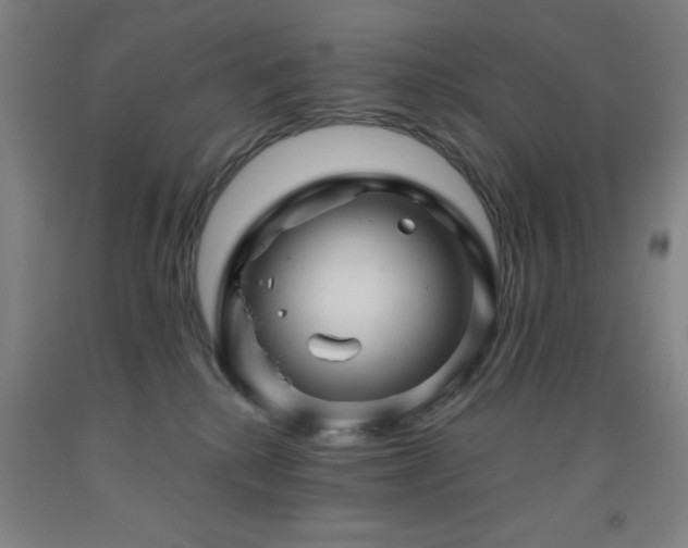 X0000093260280200709261738