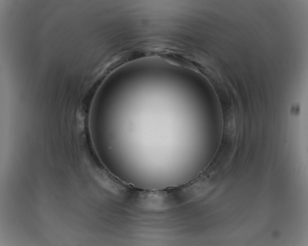 X0000093260282200709261738