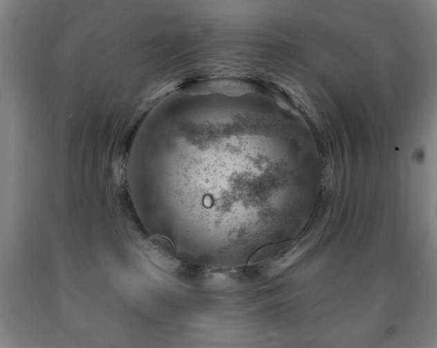 X0000093260285200709261738