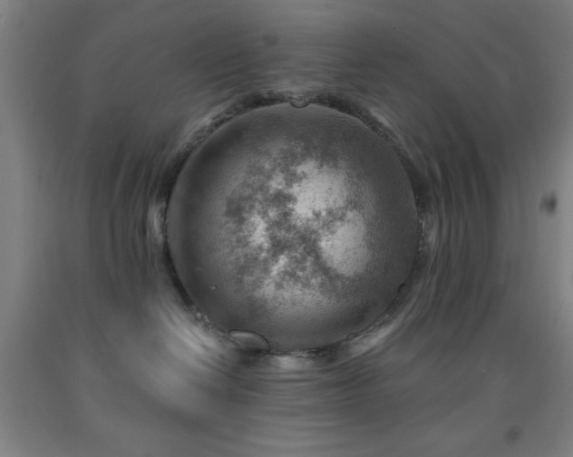 X0000093260286200709261738