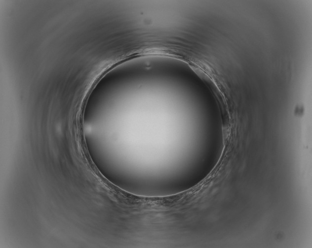 X0000093260289200709261737