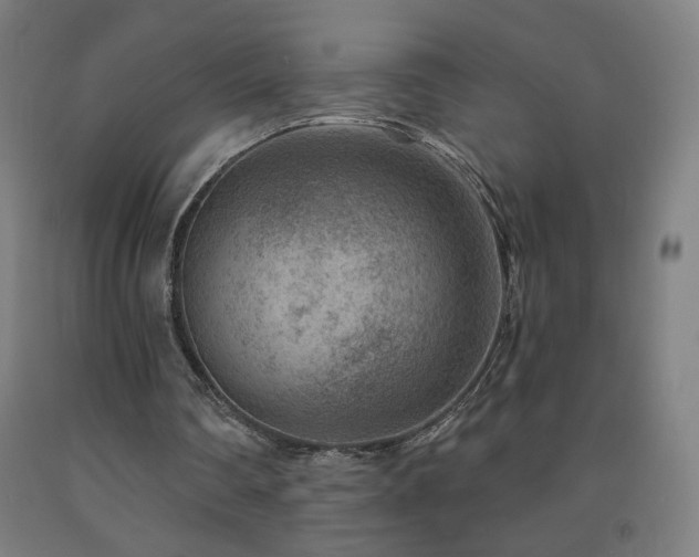 X0000093260290200709261737