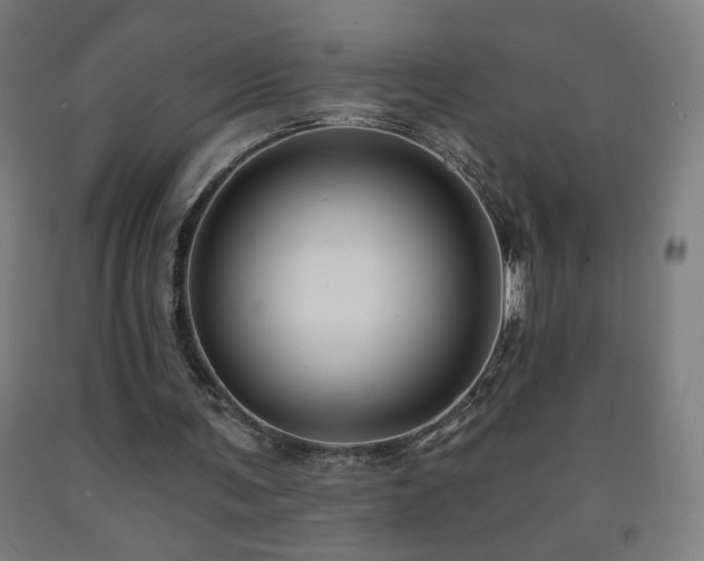 X0000093260291200709261737