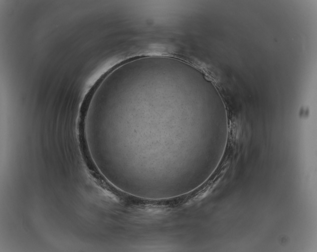 X0000093260292200709261737