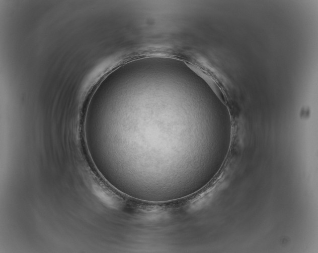 X0000093260293200709261737