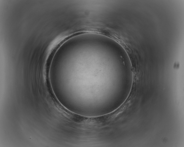 X0000093260294200709261737