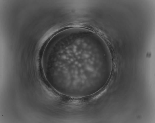 X0000093260295200709261737