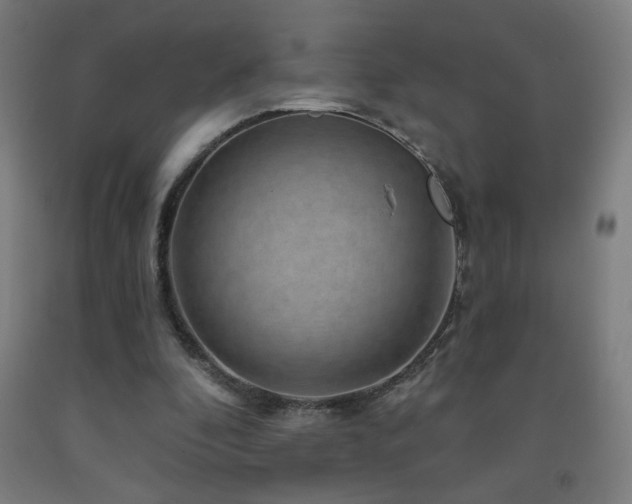 X0000093260296200709261737