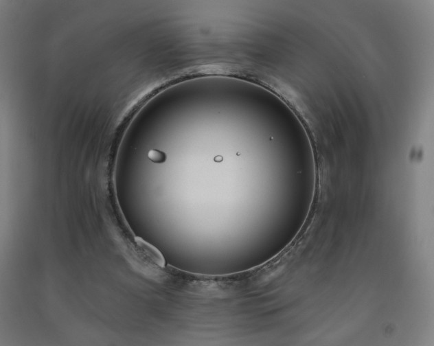 X0000093260297200709261737