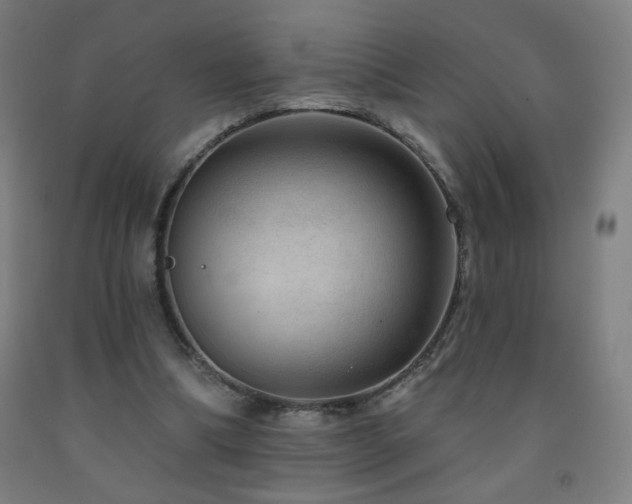X0000093260298200709261737