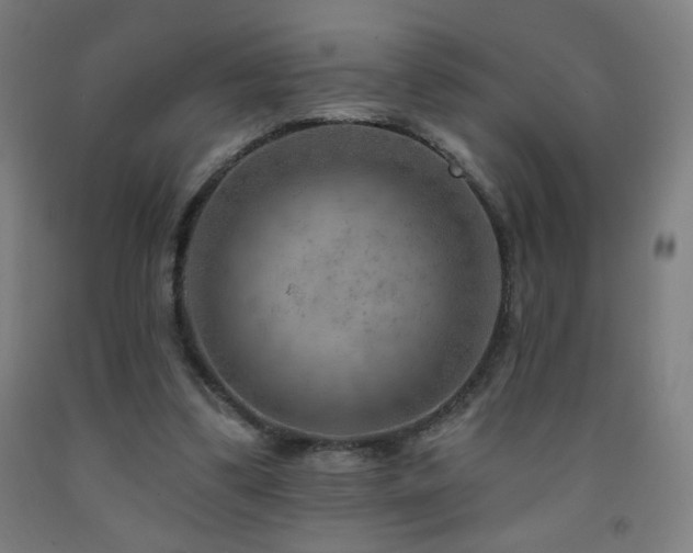 X0000093260299200709261737