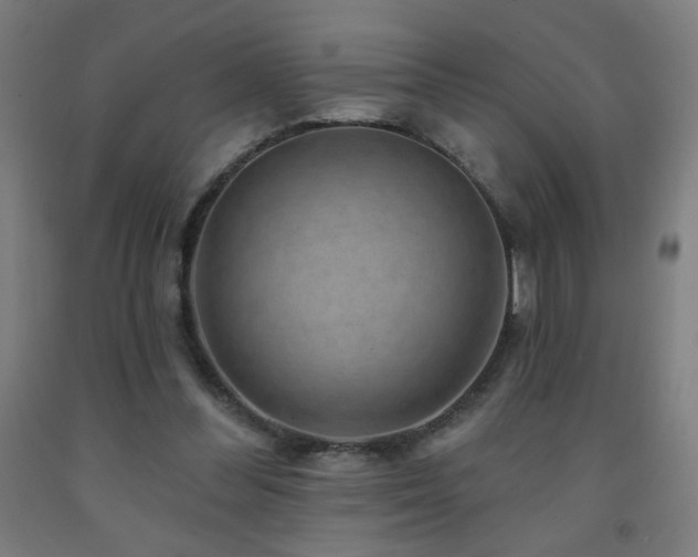 X0000093260300200709261737
