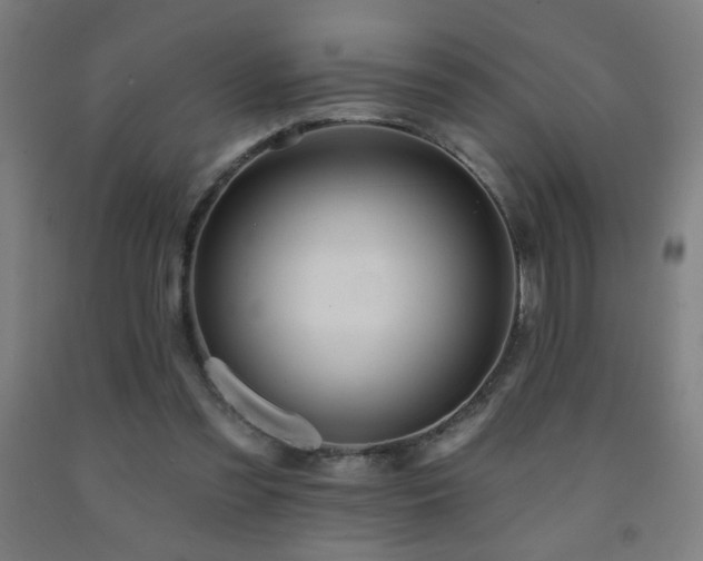 X0000093260301200709261737