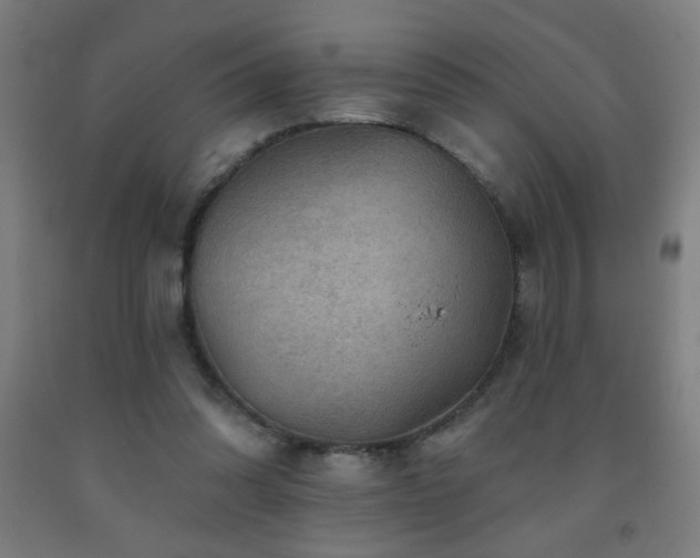 X0000093260302200709261737